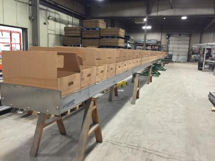 Empty Box Blower Conveyor